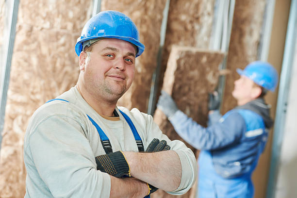 Best Insulation Maintenance and Repair in Brillion, WI